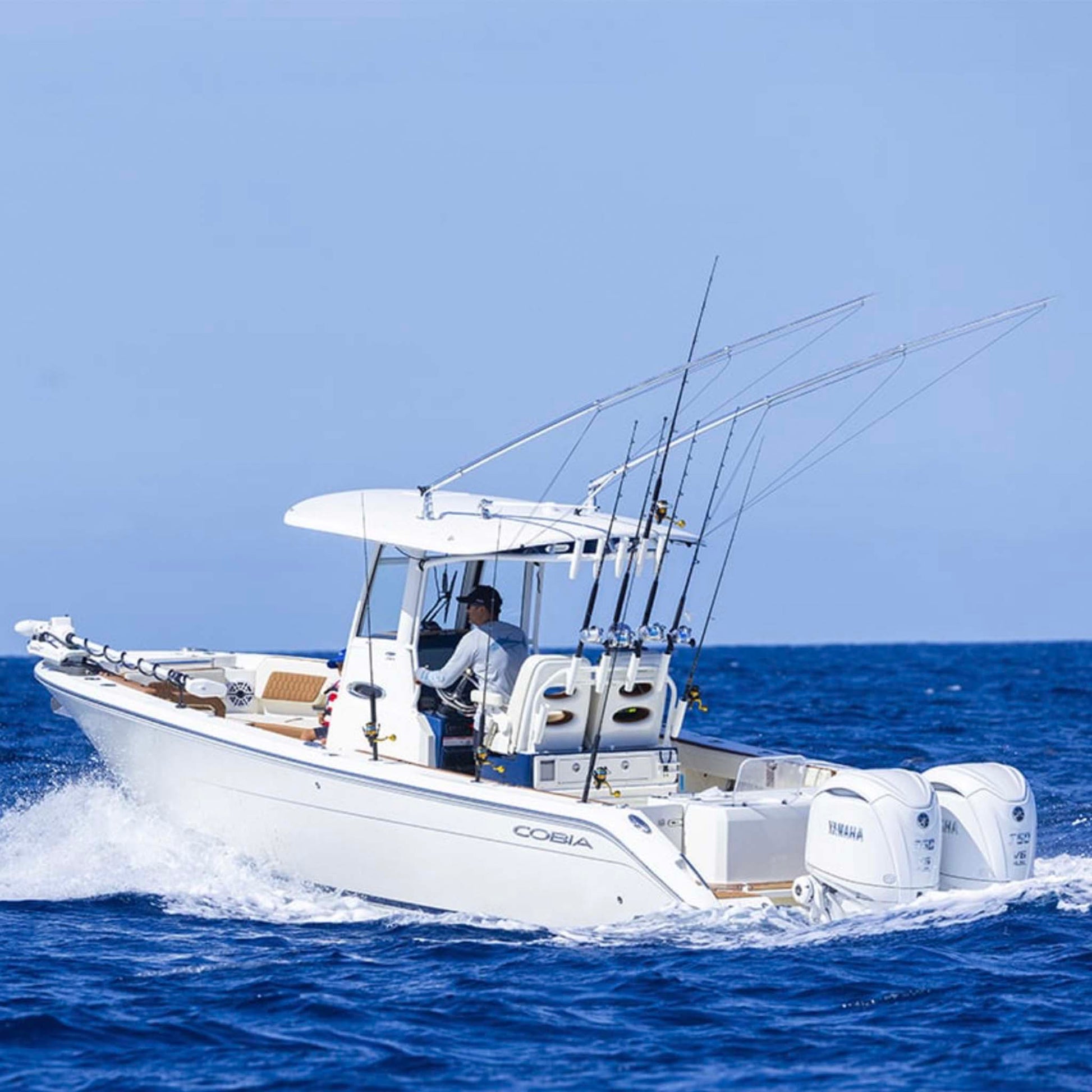 COBIA 285 CC Puerto Rico and Caribbean