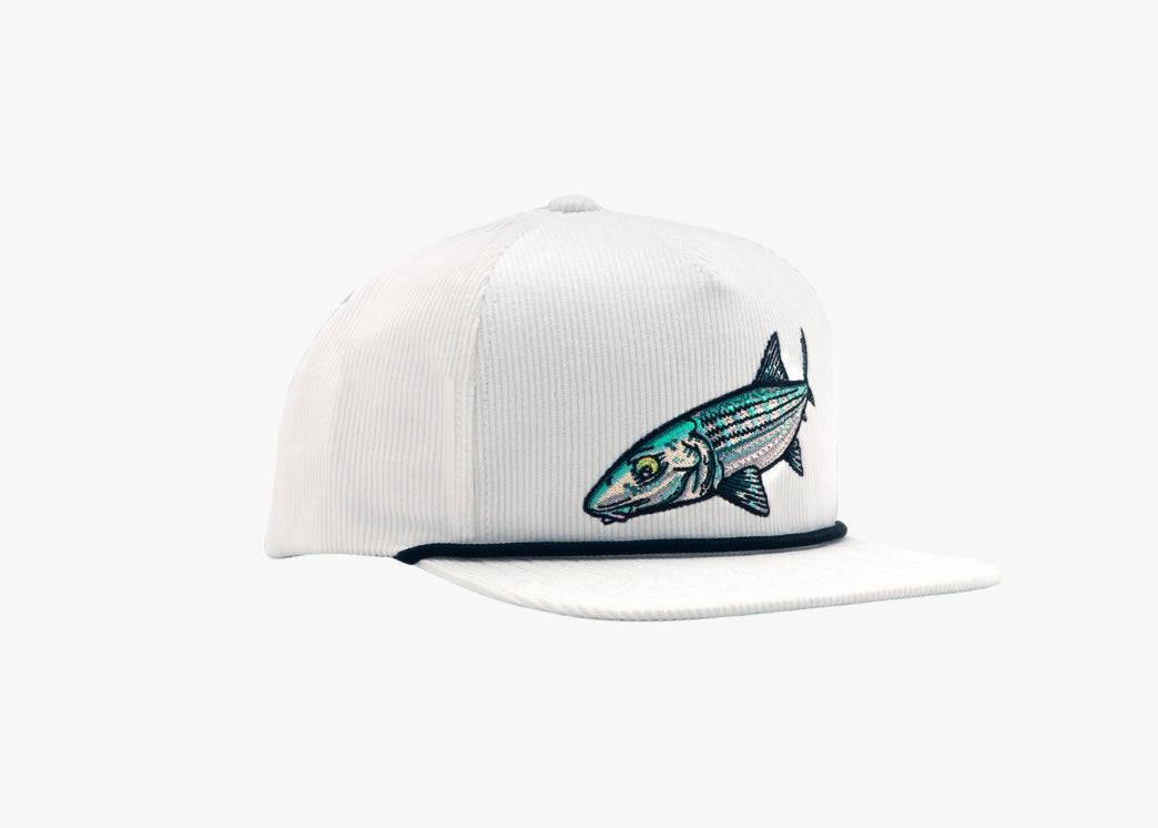 BONEFISH - FLAT BRIM CORDUROY