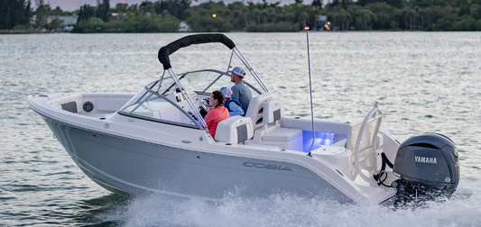 COBIA 220 DC